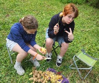 Изображение WhatsApp 2025-06-09 в 14.46.03_d91d920a.jpg