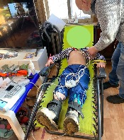 Еще один доброволец на ЭКГ