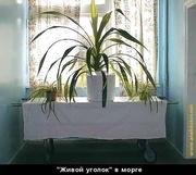 adq_014_636_artf.jpg