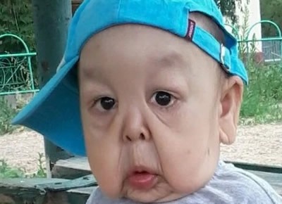 Лицо охотничьей собаки